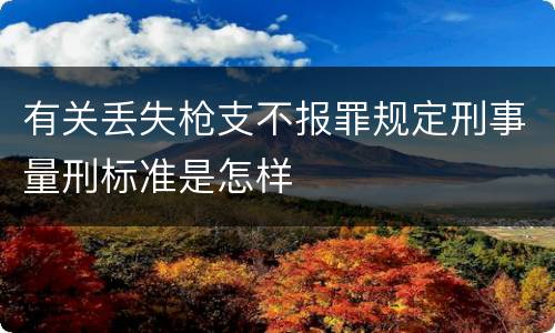 有关丢失枪支不报罪规定刑事量刑标准是怎样