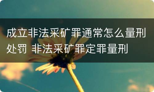 成立非法采矿罪通常怎么量刑处罚 非法采矿罪定罪量刑