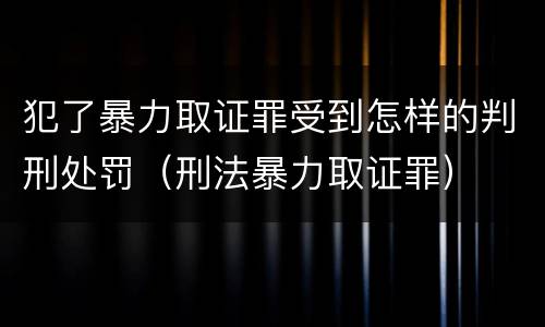 犯了暴力取证罪受到怎样的判刑处罚（刑法暴力取证罪）