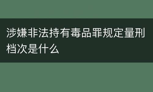 涉嫌非法持有毒品罪规定量刑档次是什么