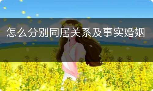 怎么分别同居关系及事实婚姻