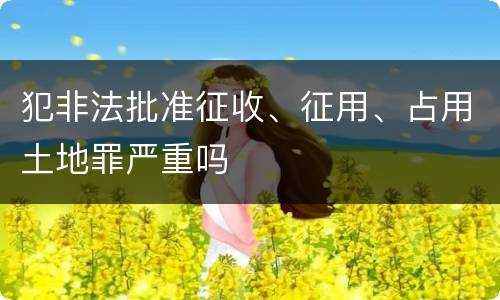 犯非法批准征收、征用、占用土地罪严重吗