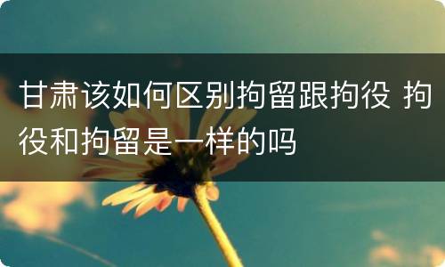 甘肃该如何区别拘留跟拘役 拘役和拘留是一样的吗