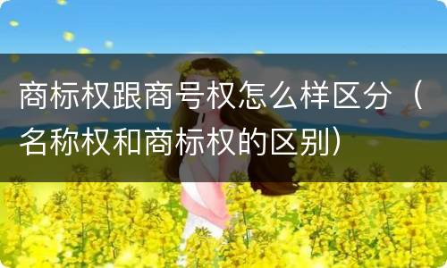 商标权跟商号权怎么样区分（名称权和商标权的区别）