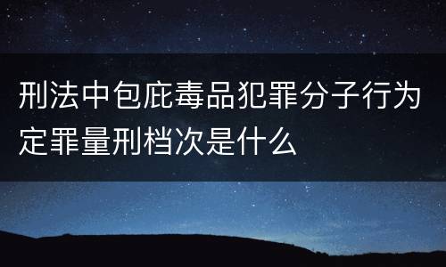 刑法中包庇毒品犯罪分子行为定罪量刑档次是什么