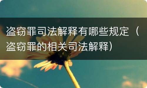 盗窃罪司法解释有哪些规定（盗窃罪的相关司法解释）