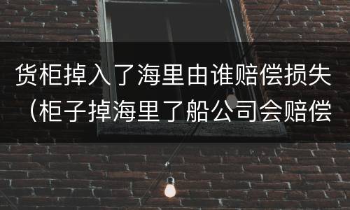 货柜掉入了海里由谁赔偿损失（柜子掉海里了船公司会赔偿吗）
