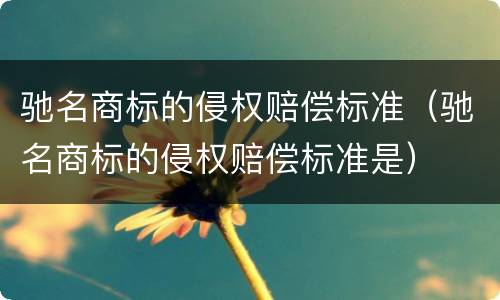驰名商标的侵权赔偿标准（驰名商标的侵权赔偿标准是）