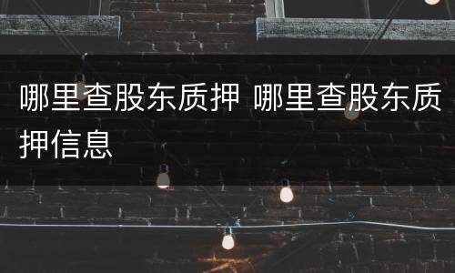 哪里查股东质押 哪里查股东质押信息