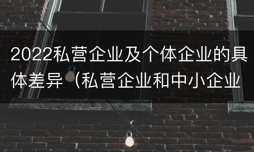 2022私营企业及个体企业的具体差异（私营企业和中小企业）