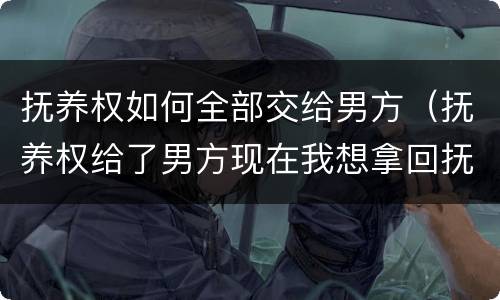 抚养权如何全部交给男方（抚养权给了男方现在我想拿回抚养权）