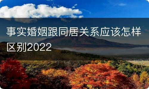 事实婚姻跟同居关系应该怎样区别2022