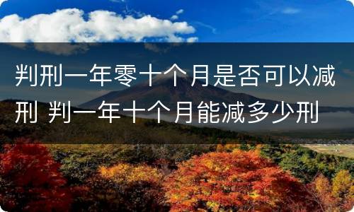 判刑一年零十个月是否可以减刑 判一年十个月能减多少刑