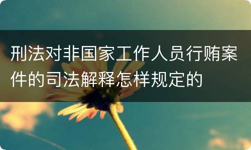 刑法对非国家工作人员行贿案件的司法解释怎样规定的