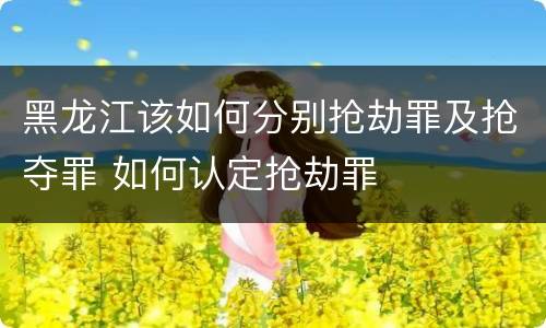 黑龙江该如何分别抢劫罪及抢夺罪 如何认定抢劫罪