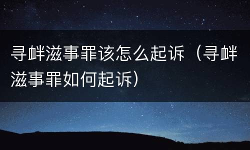 寻衅滋事罪该怎么起诉（寻衅滋事罪如何起诉）