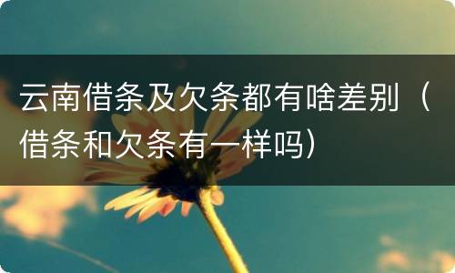 云南借条及欠条都有啥差别（借条和欠条有一样吗）