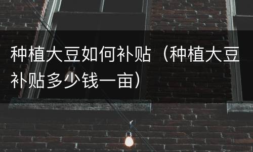 种植大豆如何补贴（种植大豆补贴多少钱一亩）