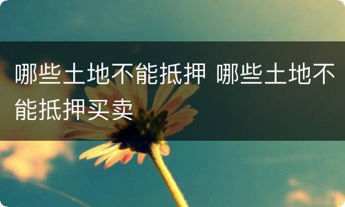 哪些土地不能抵押 哪些土地不能抵押买卖