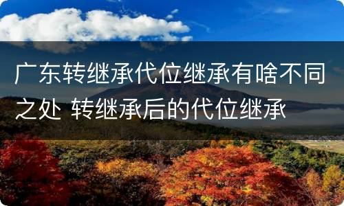 广东转继承代位继承有啥不同之处 转继承后的代位继承
