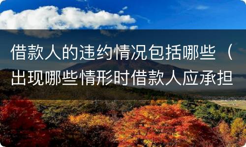 借款人的违约情况包括哪些（出现哪些情形时借款人应承担违约责任）
