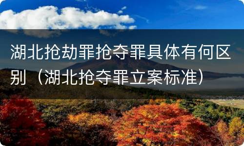湖北抢劫罪抢夺罪具体有何区别（湖北抢夺罪立案标准）