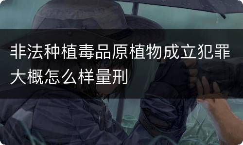 非法种植毒品原植物成立犯罪大概怎么样量刑
