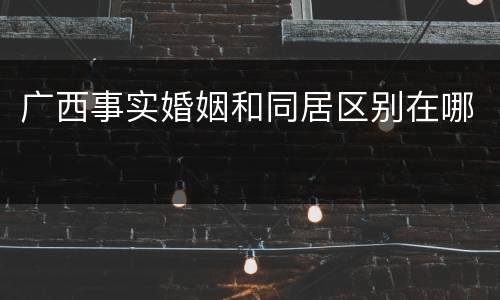 广西事实婚姻和同居区别在哪