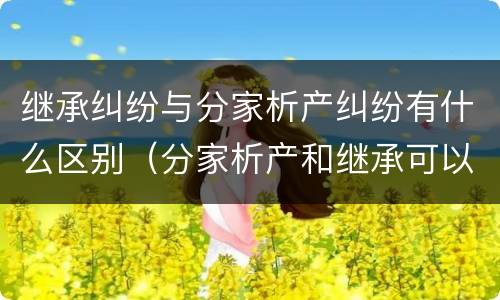 继承纠纷与分家析产纠纷有什么区别（分家析产和继承可以在一个案件中处理吗）