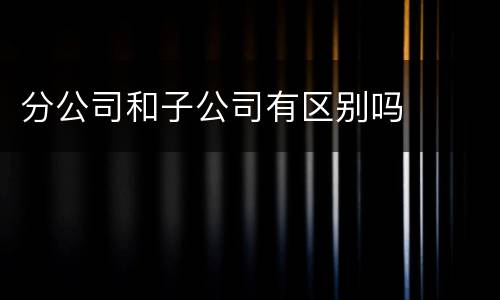 分公司和子公司有区别吗