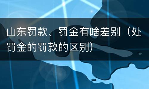 山东罚款、罚金有啥差别（处罚金的罚款的区别）