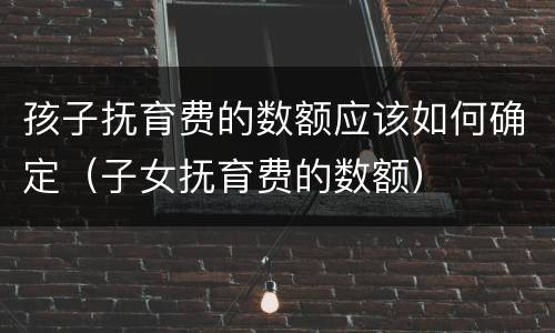 孩子抚育费的数额应该如何确定（子女抚育费的数额）