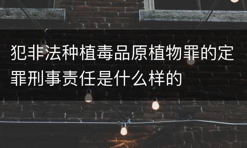 犯非法种植毒品原植物罪的定罪刑事责任是什么样的