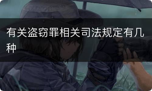 有关盗窃罪相关司法规定有几种