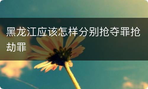 黑龙江应该怎样分别抢夺罪抢劫罪