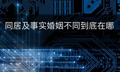 同居及事实婚姻不同到底在哪
