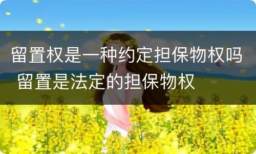 留置权是一种约定担保物权吗 留置是法定的担保物权