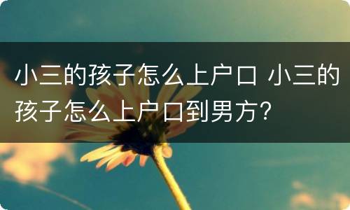 小三的孩子怎么上户口 小三的孩子怎么上户口到男方?