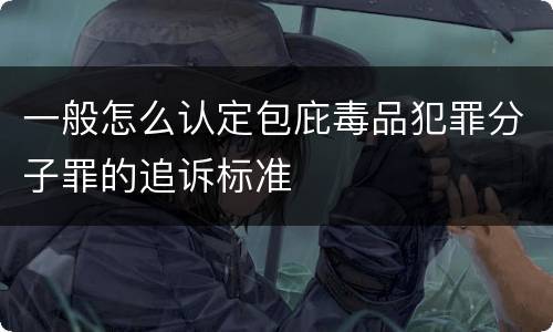 一般怎么认定包庇毒品犯罪分子罪的追诉标准