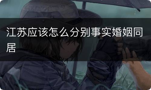 江苏应该怎么分别事实婚姻同居