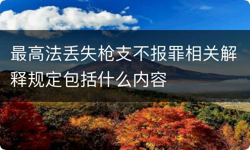 最高法丢失枪支不报罪相关解释规定包括什么内容