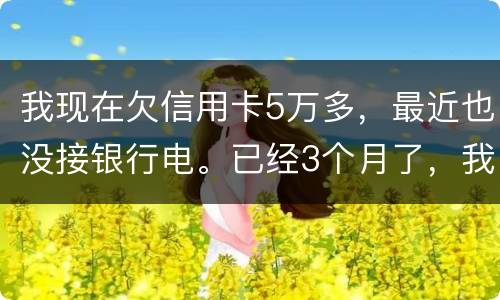 我现在欠信用卡5万多，最近也没接银行电。已经3个月了，我现在该如何处理