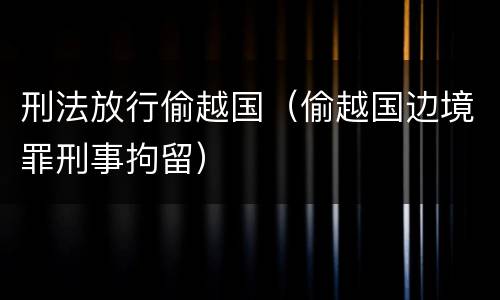 刑法放行偷越国（偷越国边境罪刑事拘留）