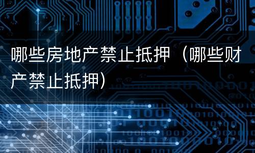 哪些房地产禁止抵押（哪些财产禁止抵押）