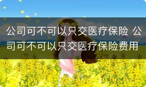 公司可不可以只交医疗保险 公司可不可以只交医疗保险费用