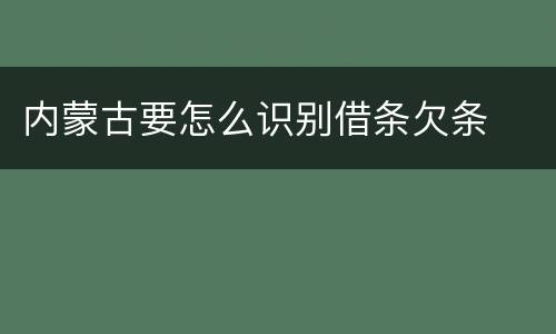 内蒙古要怎么识别借条欠条