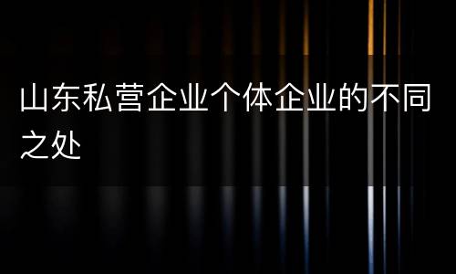 山东私营企业个体企业的不同之处
