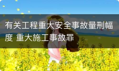 有关工程重大安全事故量刑幅度 重大施工事故罪