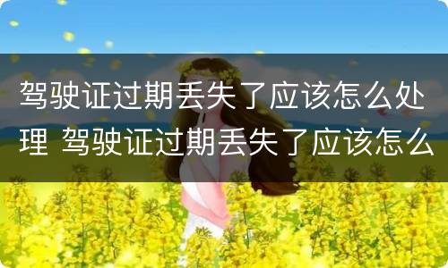 驾驶证过期丢失了应该怎么处理 驾驶证过期丢失了应该怎么处理掉
