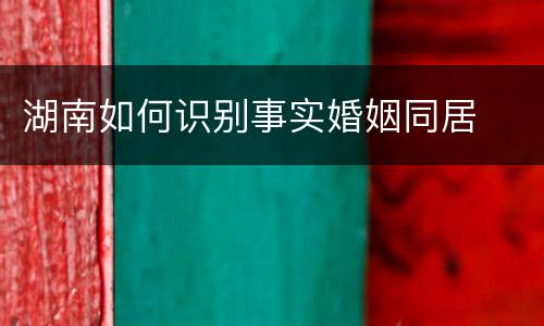 湖南如何识别事实婚姻同居